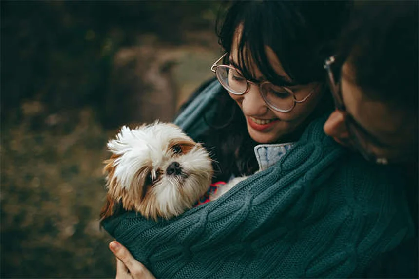 犬がマウンティングする理由と対処法【専門家が解説】