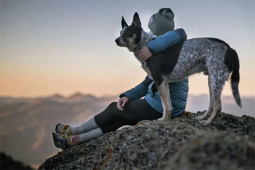 7 Proven Ways to Keep Your Dog Calm During Air Travel
